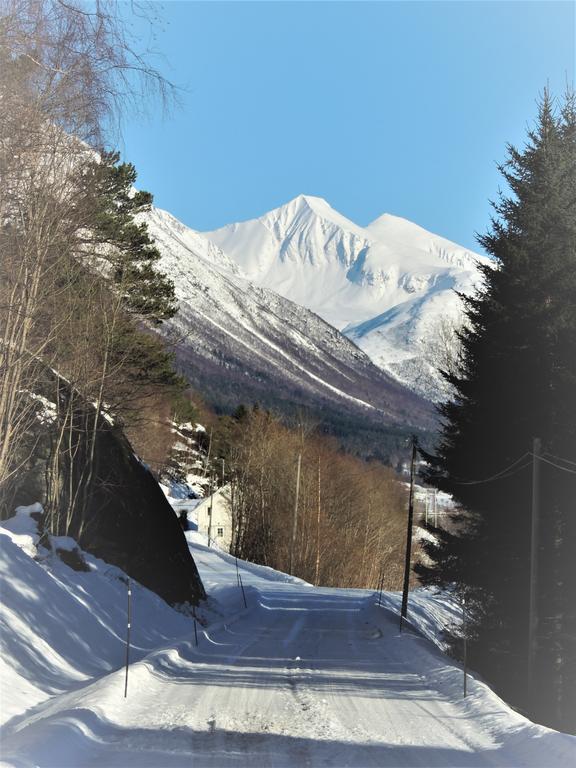 Isfjorden Tindelykkeヴィラ エクステリア 写真